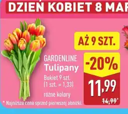 ALDI Bukiet tulipanów Gardenline oferta