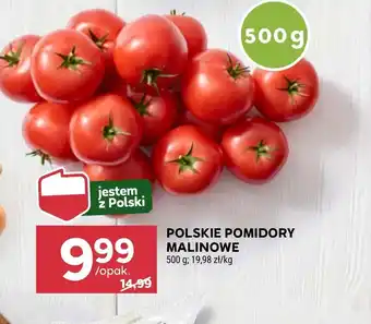 Stokrotka Pomidory Polski oferta