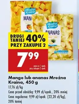 Biedronka Ananas Mroźna Kraina oferta