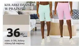 Auchan Kolarki damskie rozm. s-3xl Inextenso By Auchan oferta