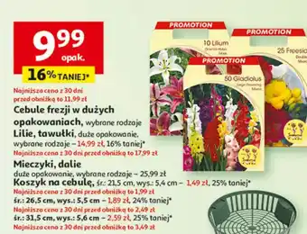 Auchan Koszyn na cebulę 31.5 cm oferta