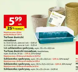 Auchan Szklarnia z pokrywką 33 x 23 10.5 cm oferta