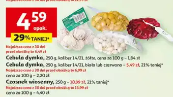 Auchan Czosnek wiosenny oferta