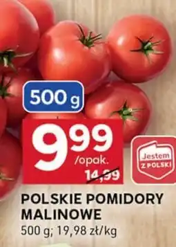 Stokrotka Optima Pomidory oferta