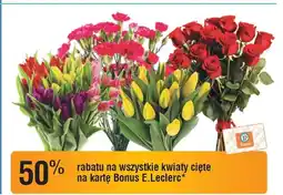 E.Leclerc Goździk oferta