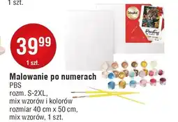 E.Leclerc Malowanie po numerkach 40 x 50 cm Pbs Connect Polska oferta