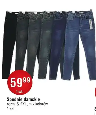 E.Leclerc Spodnie damskie s-2xl oferta