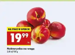 Biedronka Nektarynki oferta