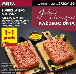 Biedronka Mięso mielone z łopatki wieprzowej i wołowiny Kraina Mięs oferta