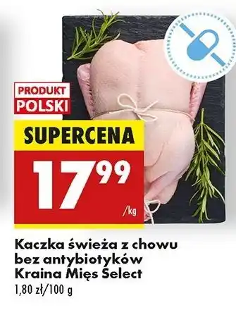 Biedronka Kaczka świeża bez antybiotyków Kraina Mięs Select oferta