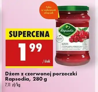 Biedronka Dżem z czerwonych porzeczek Rapsodia oferta