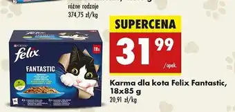 Biedronka Karma dla kota rybne smaki Purina Felix Fantastic oferta