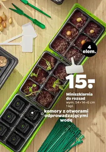 Netto Mini szklarnie na rozsady roślin oferta