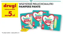 Biedronka Pieluszki dla dzieci 4 Pampers Pants oferta