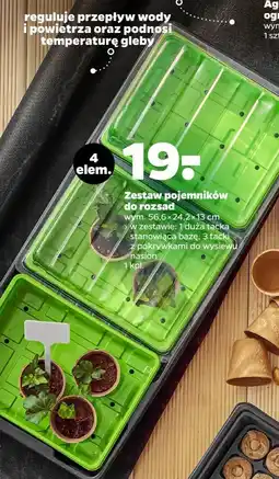 Netto Zestaw pojemników rozsadowych 56.6 x 24.2 13 cm oferta