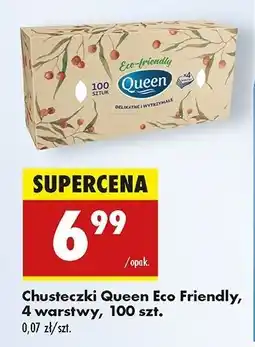 Biedronka Chusteczki higieniczne eco firendly Queen oferta