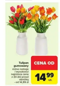 Carrefour Market Tulipan oferta