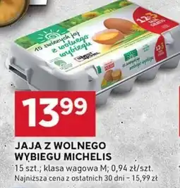 Stokrotka Optima Jaja Michelis oferta