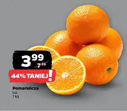 Netto Pomarańcza oferta