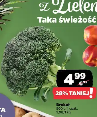 Netto Brokuł oferta