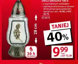 Selgros Znicz gruszkowy oferta