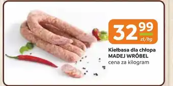 Gama Kiełbasa Madej Wróbel oferta