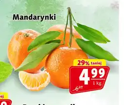 Prim Market Mandarynki oferta