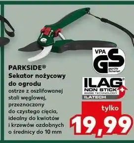 Kaufland Sekator ogrodowy nożycowy Parkside oferta