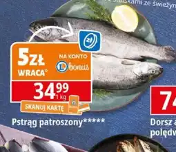 E.Leclerc Pstrąg patroszony oferta