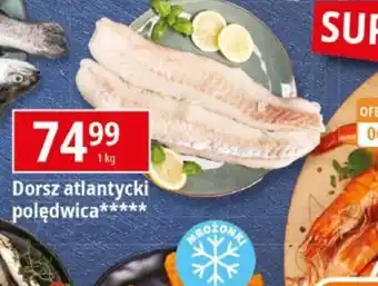 E.Leclerc Dorsz atlantycki polędwica oferta