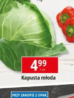 E.Leclerc Kapusta młoda oferta