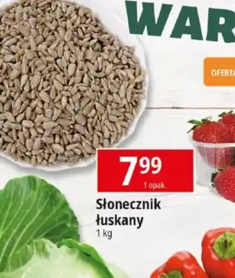 E.Leclerc Słonecznik łuskany oferta