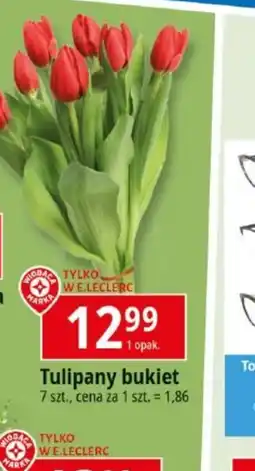 E.Leclerc Tulipan bukiet oferta