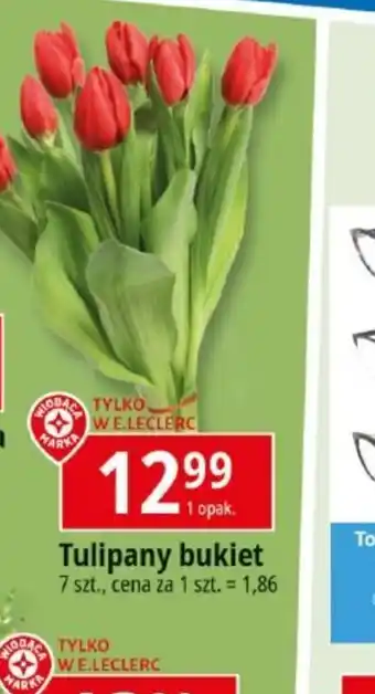 E.Leclerc Tulipan bukiet oferta