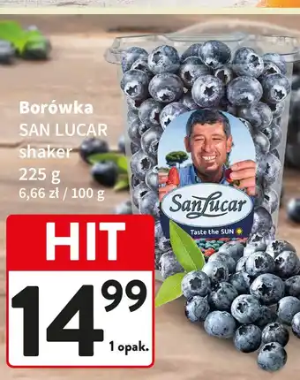 Intermarche Borówki Sanlucar oferta