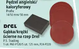 E.Leclerc Drel Gąbka/krążki ścierne na rzep oferta