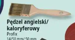 E.Leclerc Pędzel angielski/kaloryferowy oferta