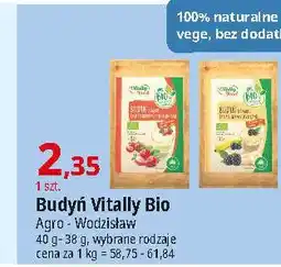 E.Leclerc Budyń o smaku śmietankowym z truskawkami Vitally Food oferta