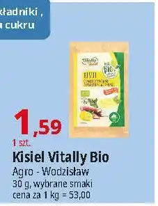 E.Leclerc Kisiel cytryna-rabarbar i witamina c Vitally Food oferta