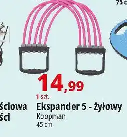 E.Leclerc Ekspander 5 żyłowy Koopman oferta