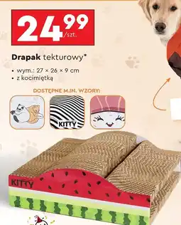 Biedronka Drapak tekturowy 27 x 26 9 cm Activ Pet oferta