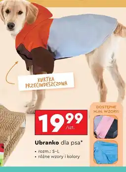 Biedronka Kurtka przeciwdeszczowa dla psa s-l Activ Pet oferta