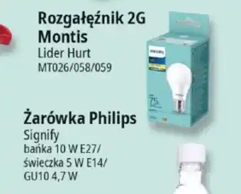 E.Leclerc Żarówka Philips oferta