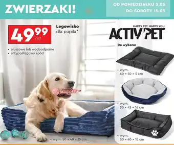 Biedronka Legowisko dla psów 50 x 40 15 cm Activ Pet oferta