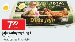 E.Leclerc Jaja z wolnego wybiegu kl. l Top Jaj oferta