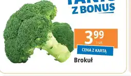 E.Leclerc Brokuł oferta