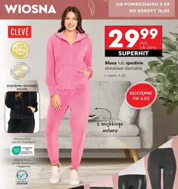 Biedronka Spodnie dresowe damskie s-xl Cleve oferta