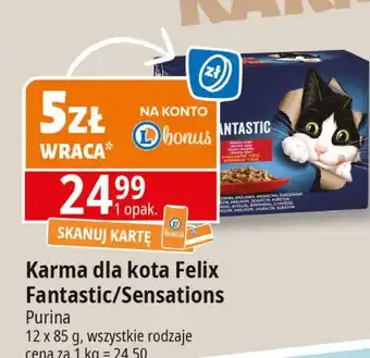 E.Leclerc Karma dla kota wiejskie smaki w galaretce Purina Felix Sensations Sauces oferta