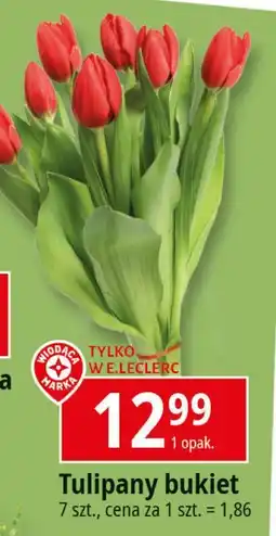 E.Leclerc Tulipany Wiodąca Marka oferta