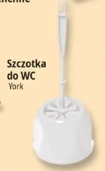 E.Leclerc York Szczotka do WC oferta